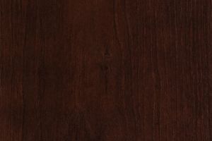 Дуб цвета Арабика