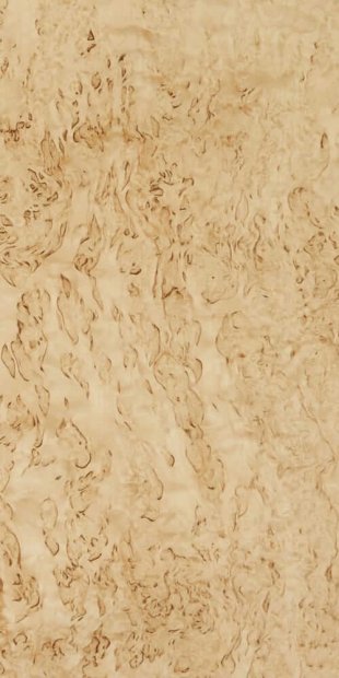 Карельская берёза